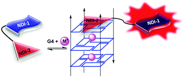 Graphical abstract: A naphthalene diimide dyad for fluorescence switch-on detection of G-quadruplexes