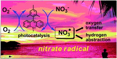 Graphical abstract: Visible light photooxidation of nitrate: the dawn of a nocturnal radical