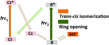 Graphical abstract: Flavylium based dual photochromism: addressing cis–trans isomerization and ring opening-closure by different light inputs
