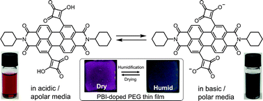Graphical abstract: Halochromic and hydrochromic squaric acid functionalized perylene bisimide