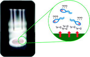 Graphical abstract: Nitric oxide releasing plasma polymer coating with bacteriostatic properties and no cytotoxic side effects