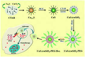Graphical abstract: A facile one-pot synthesis of colloidal stable, monodisperse, highly PEGylated CuS@mSiO2 nanocomposites for the combination of photothermal therapy and chemotherapy