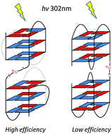 Graphical abstract: Photoreactivity of the linker region of two consecutive G-quadruplexes formed by human telomeric DNA