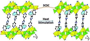 Graphical abstract: The first zinc phosphite with remarkable structural and functional transformations