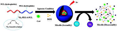 Graphical abstract: Visible light-induced singlet oxygen-mediated intracellular disassembly of polymeric micelles co-loaded with a photosensitizer and an anticancer drug for enhanced photodynamic therapy