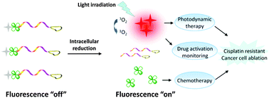 Graphical abstract: A platinum prodrug conjugated with a photosensitizer with aggregation-induced emission (AIE) characteristics for drug activation monitoring and combinatorial photodynamic–chemotherapy against cisplatin resistant cancer cells