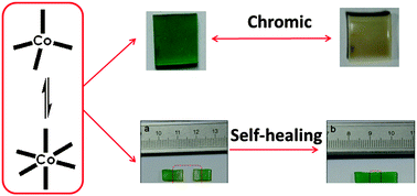 Graphical abstract: A self-healing PDMS polymer with solvatochromic properties