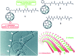 Graphical abstract: Supramolecular pentapeptide-based fullerene nanofibers: effect of molecular chirality