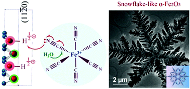 Graphical abstract: The role of surface hydrolysis of ferricyanide anions in crystal growth of snowflake-shaped α-Fe2O3