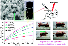 Graphical abstract: Ultrathin carbon layer coated MoO2 nanoparticles for high-performance near-infrared photothermal cancer therapy