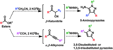 Graphical abstract: Direct synthesis of pyrazoles from esters using tert-butoxide-assisted C–(C [[double bond, length as m-dash]] O) coupling