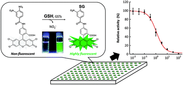 Graphical abstract: A practical fluorogenic substrate for high-throughput screening of glutathione S-transferase inhibitors