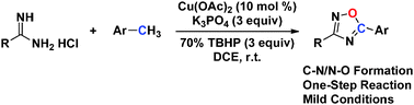 Graphical abstract: A facile approach to synthesize 3,5-disubstituted-1,2,4-oxadiazoles via copper-catalyzed-cascade annulation of amidines and methylarenes