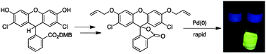 Graphical abstract: Synthesis of high contrast fluorescein-diethers for rapid bench-top sensing of palladium