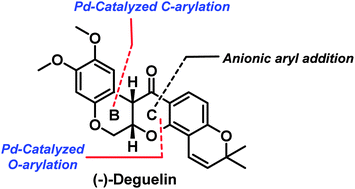 Graphical abstract: Total synthesis of (−)-deguelin via an iterative pyran-ring formation strategy