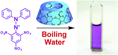 Graphical abstract: Solubilisation of a 2,2-diphenyl-1-picrylhydrazyl radical in water by β-cyclodextrin to evaluate the radical-scavenging activity of antioxidants in aqueous media