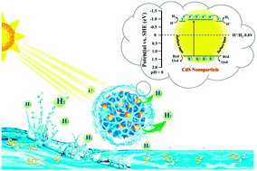 Graphical abstract: Highly-efficient cocatalyst-free H2-evolution over silica-supported CdS nanoparticle photocatalysts under visible light
