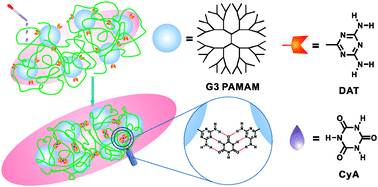 Graphical abstract: A supramolecular approach to improve the gene transfection efficacy of dendrimers