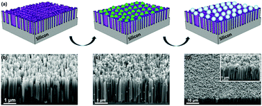 Graphical abstract: Silicon nanowire arrays coupled with cobalt phosphide spheres as low-cost photocathodes for efficient solar hydrogen evolution