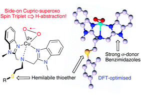 Graphical abstract: Side-on cupric–superoxo triplet complexes as competent agents for H-abstraction relevant to the active site of PHM