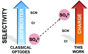 Graphical abstract: Sulphate-selective optical microsensors: overcoming the hydration energy penalty