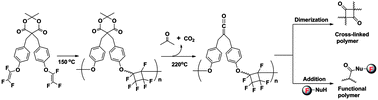 Graphical abstract: Utilization of a Meldrum's acid towards functionalized fluoropolymers possessing dual reactivity for thermal crosslinking and post-polymerization modification