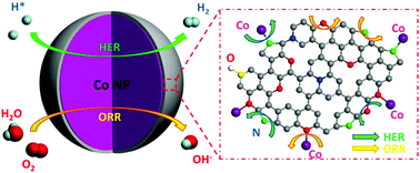 Graphical abstract: Unification of catalytic oxygen reduction and hydrogen evolution reactions: highly dispersive Co nanoparticles encapsulated inside Co and nitrogen co-doped carbon