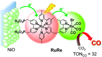 Graphical abstract: Photoelectrochemical CO2 reduction using a Ru(ii)–Re(i) multinuclear metal complex on a p-type semiconducting NiO electrode