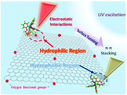 Graphical abstract: Probing the tunable surface chemistry of graphene oxide