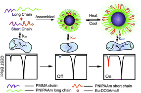 Graphical abstract: Body temperature sensitive micelles for MRI enhancement