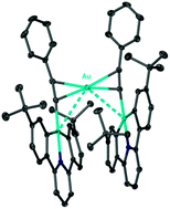 Graphical abstract: Dispersion, solvent and metal effects in the binding of gold cations to alkynyl ligands: implications for Au(i) catalysis