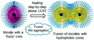 Graphical abstract: Disclosing the nature of thermo-responsiveness of poly(N-isopropyl acrylamide)-based polymeric micelles: aggregation or fusion?