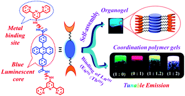 Graphical abstract: Tunable emission in lanthanide coordination polymer gels based on a rationally designed blue emissive gelator