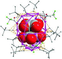 Graphical abstract: An organic anion template: a 24-nucleus silver cluster encapsulating a squarate dimer