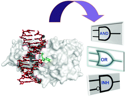 Graphical abstract: Design of enzyme-interfaced DNA logic operations (AND, OR and INHIBIT) with an assaying application for single-base mismatch