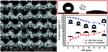 Graphical abstract: Femtosecond laser induced hierarchical ZnO superhydrophobic surfaces with switchable wettability