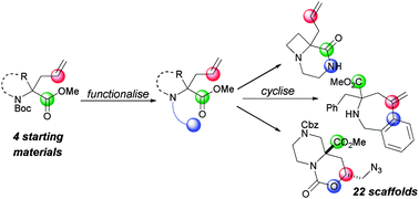 Graphical abstract: A systematic approach to diverse, lead-like scaffolds from α,α-disubstituted amino acids