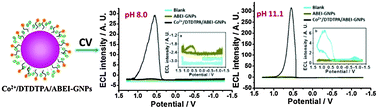 Graphical abstract: Direct electrochemiluminescence of gold nanoparticles bifunctionalized by luminol analogue–metal complexes in neutral and alkaline media