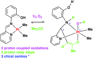 Graphical abstract: A biomimetic phenol substituent effect on the reaction of a dimethylplatinum(ii) complex with oxygen: proton coupled electron transfer and multiple proton relay