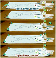 Graphical abstract: Metal ion clip: fine-tuning aromatic stacking interactions in the multistep formation of carbazole-bridged zinc(ii) complexes