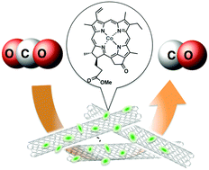 Graphical abstract: Selective electrochemical reduction of CO2 to CO with a cobalt chlorin complex adsorbed on multi-walled carbon nanotubes in water