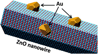 Graphical abstract: Hetero-epitaxially anchoring Au nanoparticles onto ZnO nanowires for CO oxidation
