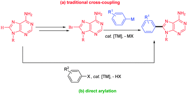 Graphical abstract: Catalytic C–H bond functionalisation of purine and pyrimidine nucleosides: a synthetic and mechanistic perspective