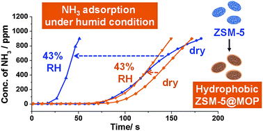 Graphical abstract: Hydrophobic zeolites coated with microporous organic polymers: adsorption behavior of ammonia under humid conditions