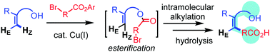 Graphical abstract: A detachable ester bond enables perfect Z-alkylations of olefins for the synthesis of tri- and tetrasubstituted alkenes