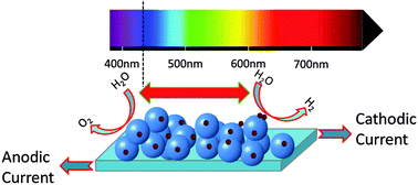Graphical abstract: Wavelength-switchable photocurrent in a hybrid TiO2–Ag nanocluster photoelectrode