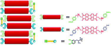 Graphical abstract: Multicomponent covalent dye assembly for tight binding and sensitive sensing of l-DOPA