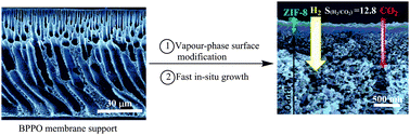 Graphical abstract: Rapid synthesis of ultrathin, defect-free ZIF-8 membranes via chemical vapour modification of a polymeric support