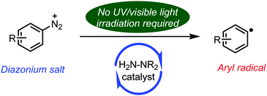 Graphical abstract: A family of low molecular-weight, organic catalysts for reductive C–C bond formation