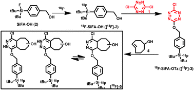 Graphical abstract: Synthesis of 3-chloro-6-((4-(di-tert-butyl[18F]fluorosilyl)-benzyl)oxy)-1,2,4,5-tetrazine ([18F]SiFA-OTz) for rapid tetrazine-based 18F-radiolabeling